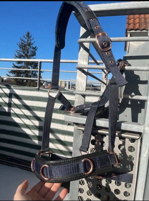 Kappzaum aus Stoff dunkelblau, N., Lonżowanie, Villingen-Schwenningen 