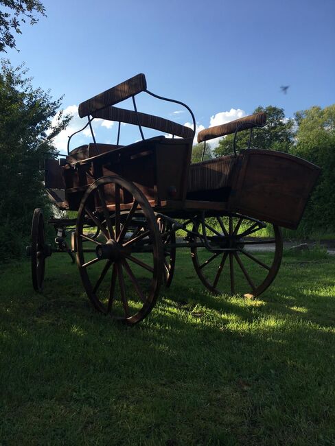 Alte Wagonette Baujahr 1914, Wagonette , Jennifer, Carriages, Nauen/ OT Groß Behnitz , Image 4