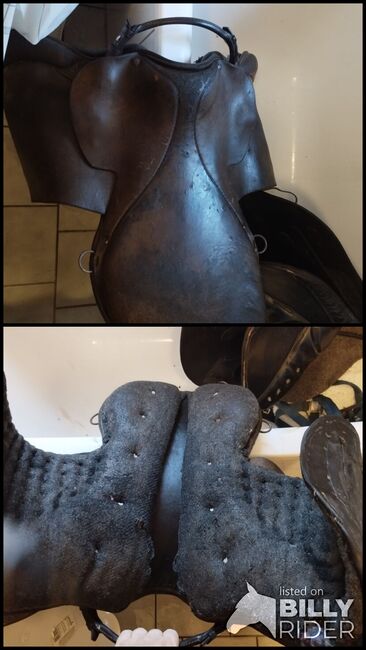 älterer Ledersattel, Melanie , All Purpose Saddle, Mühlhausen/Thüringen, Image 3