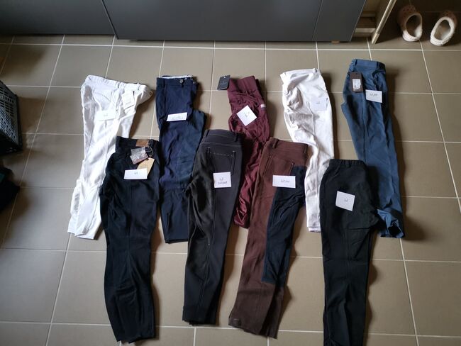 Verschiedene Reithosen neu oder neuwertig gr 40/42, Verschiedene  Vollbesatz oder grip , Nicki, Breeches & Jodhpurs, Vilseck