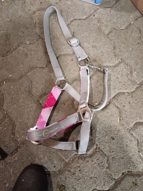 Verschieden Halfter in Größe Pony, Tamara, Halters, Wischhafen, Image 6