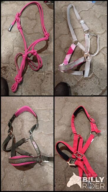 Verschieden Halfter in Größe Pony, Tamara, Halters, Wischhafen, Image 10