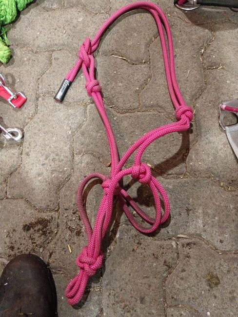 Verschieden Halfter in Größe Pony, Tamara, Halters, Wischhafen