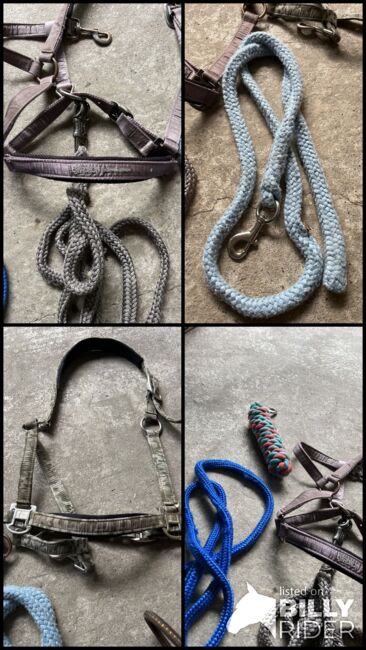 Verschiedene Halfter und Stricke, Verschiedene , Uschi Nowlan, Halters, München, Image 10