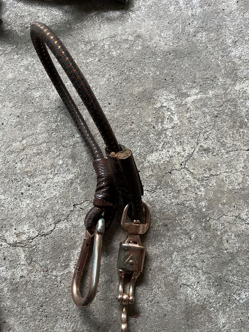 Verschiedene Halfter und Stricke, Verschiedene , Uschi Nowlan, Halters, München, Image 7