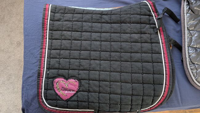 Verschiedene Dressurschabracken, Verschiedene , Fiona  Braun , Dressage Pads, Arnsberg 