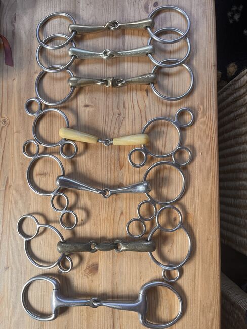 Diverse Trensen zu verkaufen, Seline, Bridles & Headstalls, Ballwil