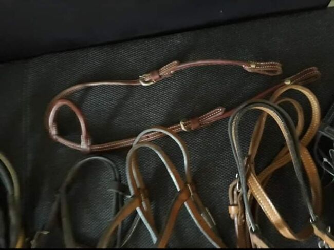 Verschiedene Trensen, Jessica Schmauß, Bridles & Headstalls, Neudenau, Image 2