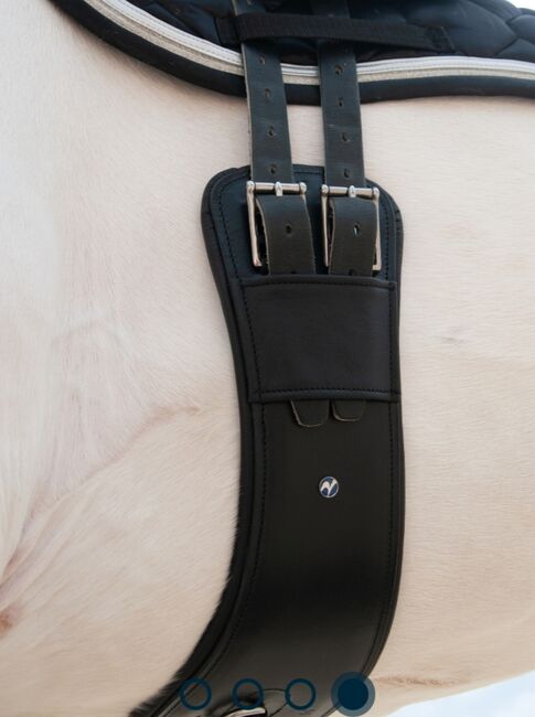 Sattelgurt Turin D R D CURVED 60cm, BUSSE  Sattelgurt , Tanja , Girths & Cinches, Badbergen, Image 4