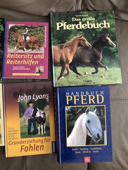 Unterwegs mit Pferden Reitersitz Fohlenerziehung Handbuch Pferd, Rebecca, Books, Potsdam, Image 3