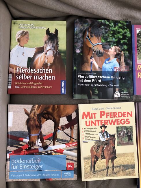 Unterwegs mit Pferden Reitersitz Fohlenerziehung Handbuch Pferd, Rebecca, Books, Potsdam, Image 2