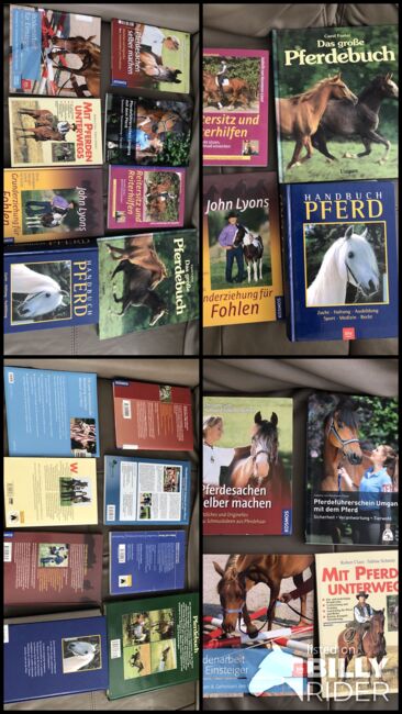 Unterwegs mit Pferden Reitersitz Fohlenerziehung Handbuch Pferd, Rebecca, Books, Potsdam, Image 5