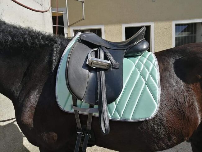 Schabracken UNIKATE!!, Handarbeit, Cyla Strauch, Dressage Pads, Leonding