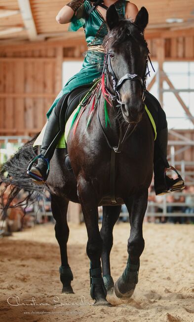 gelassene Freizeitstute, Busterhojer, Horses For Sale, Neureichenau