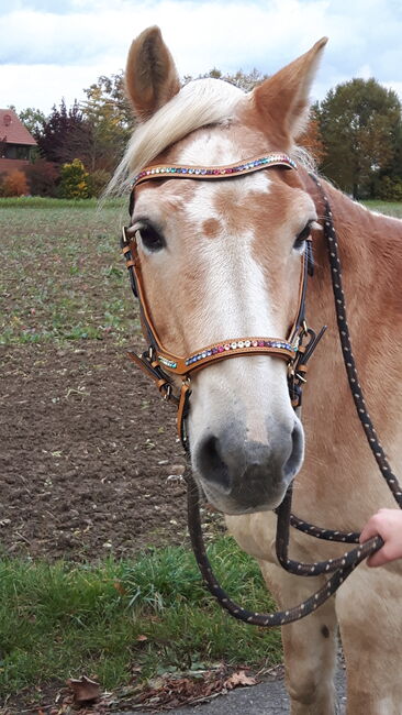 Sonderanfertigung Trense, Horsefashion Lederzaum, Tina, Bridles & Headstalls, Lübbecke