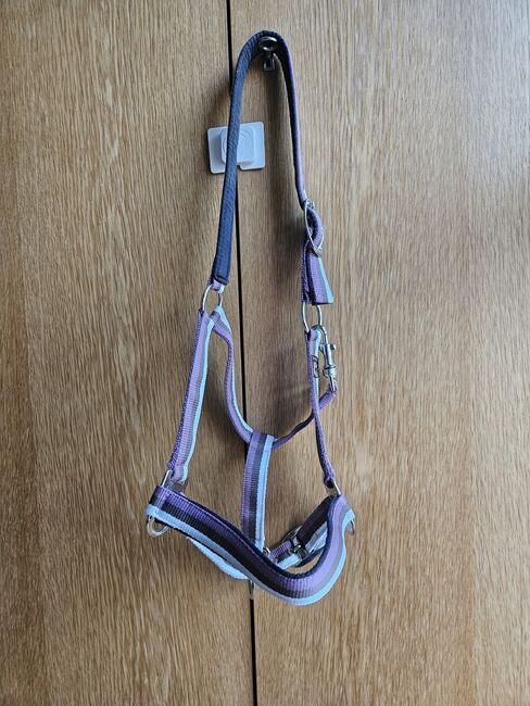 Halfter lila weiß braun Größe VB/Cob, Loesdau, Katja, Kantary, St. Georgen