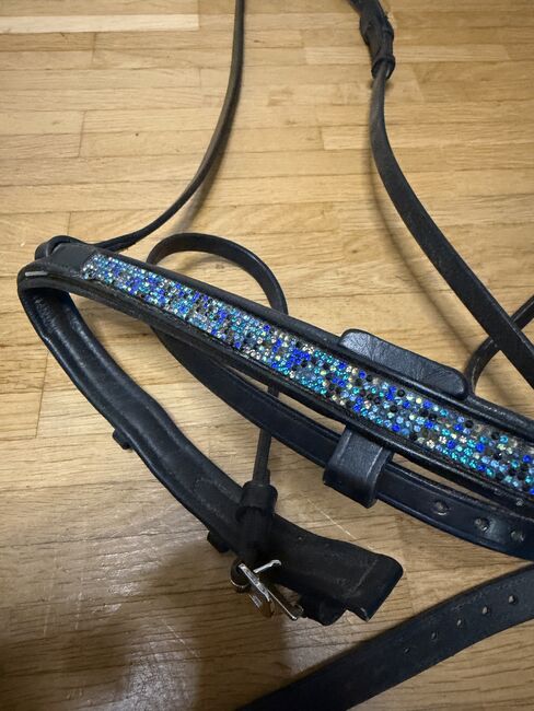 Hrimnir Nasenriemen Blue Lagoon, Heide, Nachrapniki, Innsbruck