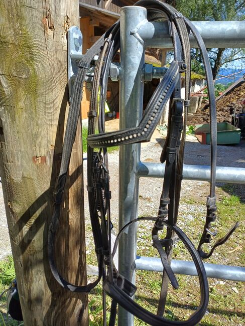 Taumzeug XF, Regina , Bridles & Headstalls, Kainach bei Voitsberg