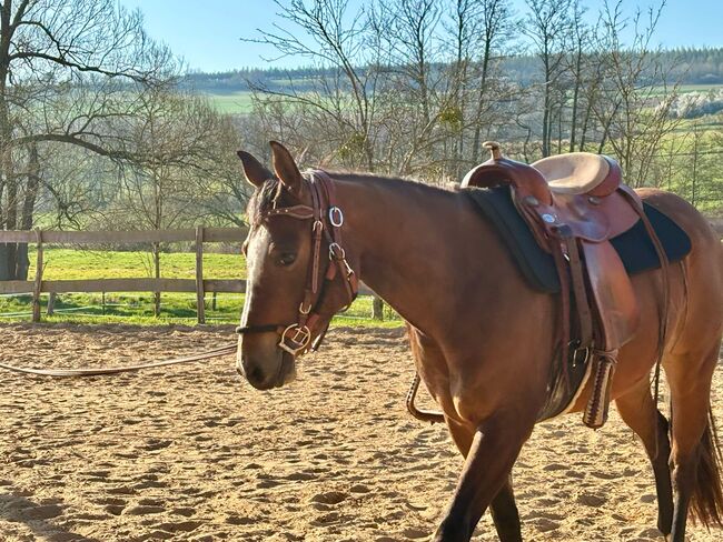 Aufgeschlossene, liebe Quarter Horse Stute von top Reining Hengst, Kerstin Rehbehn (Pferdemarketing Ost), Horses For Sale, Nienburg, Image 8