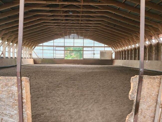 Offenstall/Boxen frei in 27232, Reitstall Bein , Horse Stables, Sulingen, Image 4