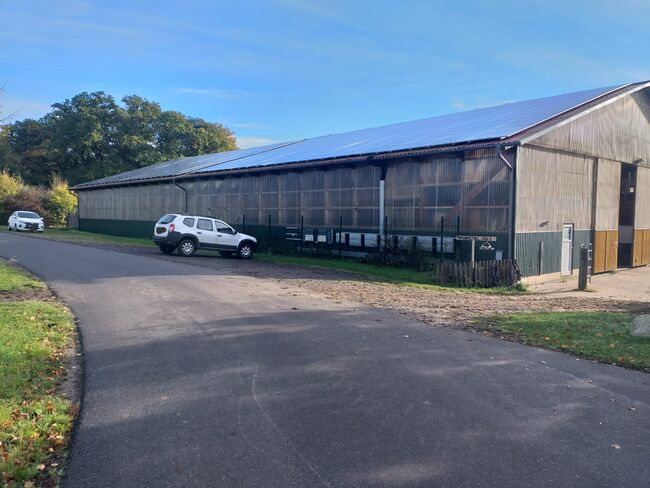 Offenstall/Boxen frei in 27232, Reitstall Bein , Horse Stables, Sulingen, Image 6