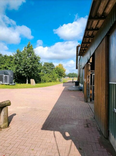Offenstall/Boxen frei in 27232, Reitstall Bein , Horse Stables, Sulingen