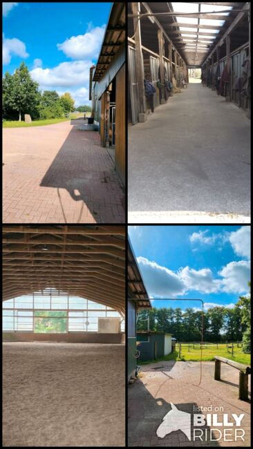 Offenstall/Boxen frei in 27232, Reitstall Bein , Horse Stables, Sulingen, Image 8