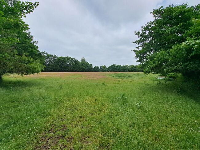 Offenstall für Wallach, Lisa Philipsen, Horse Stables, Westerrönfeld, Image 8