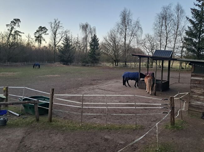 Offenstall für Wallach, Lisa Philipsen, Horse Stables, Westerrönfeld, Image 3