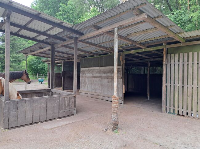 Offenstall für Wallach, Lisa Philipsen, Horse Stables, Westerrönfeld, Image 10