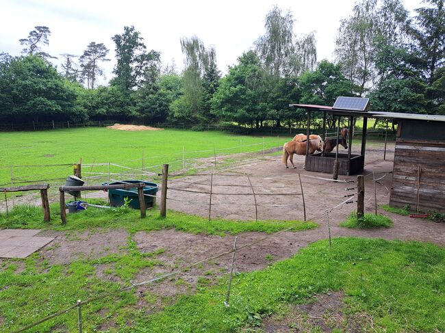 Offenstall für Wallach, Lisa Philipsen, Horse Stables, Westerrönfeld, Image 9