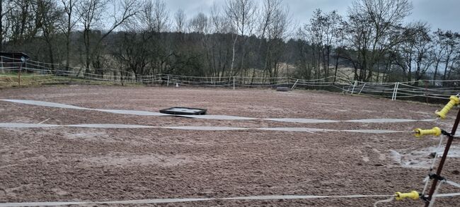 Offenstall frei, Saskia , Horse Stables, Römhild , Image 4