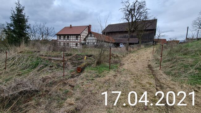 Offenstall frei, Saskia , Horse Stables, Römhild , Image 12