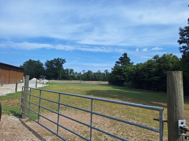 Offenstall hat einen Platz frei, Johanna , Horse Stables, Eching, Image 4