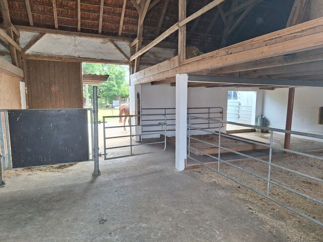 Offenstall hat einen Platz frei, Johanna , Horse Stables, Eching, Image 9