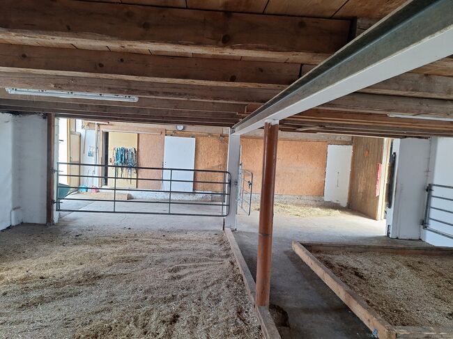 Offenstall hat einen Platz frei, Johanna , Horse Stables, Eching, Image 10