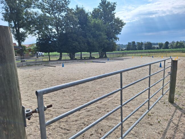 Offenstall hat einen Platz frei, Johanna , Horse Stables, Eching, Image 5