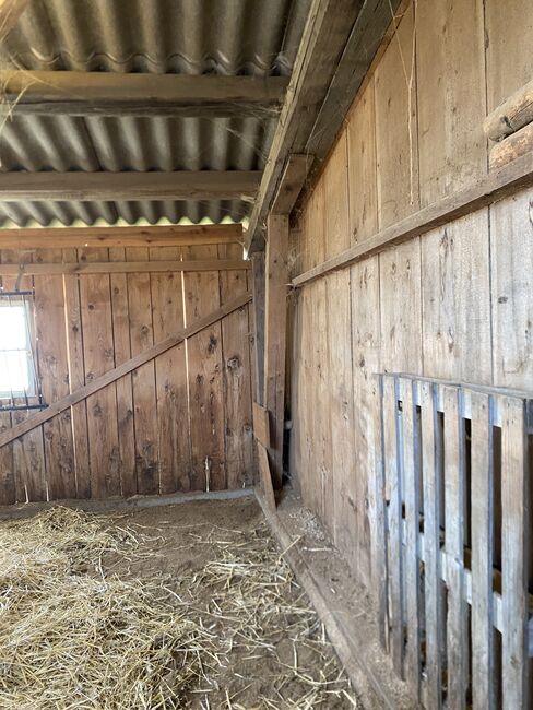 Offenstall, Elena Legl-Perzi, Horse Stables, Groß-Taxen, Image 4