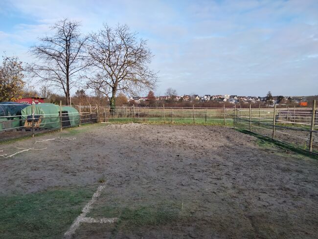 Offenstall-/ Laufstall-/ Stallplatz für Stute, Katja, Horse Stables, Bodenheim, Image 4