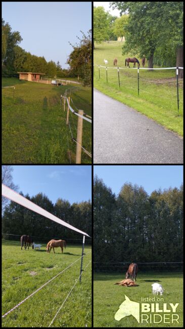 Offenstall oder Box ab Juli/August frei, Rendl Nicole , Horse Stables, Kallham , Image 11