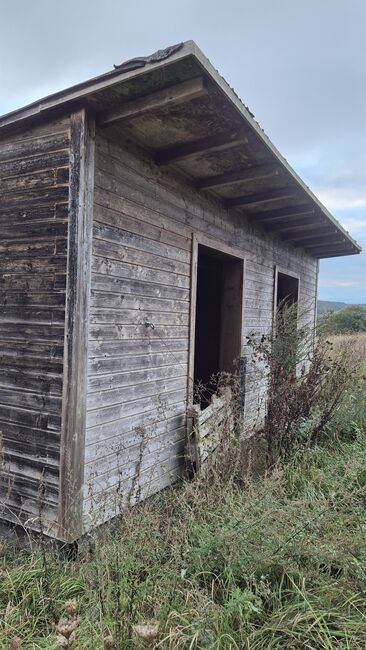 Offenstall, Weidehütte,, Lara, Horse Stables, Lollar, Image 2