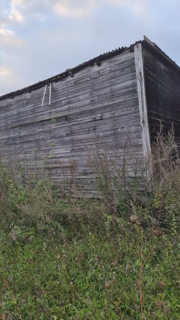 Offenstall, Weidehütte,, Lara, Horse Stables, Lollar, Image 9