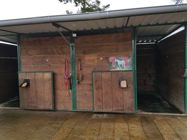 Offenstall: Platz für 1 - 2 Pferde/Ponys im Kreis Pinneberg, Zoschi, Horse Stables, Halstenbek, Image 2