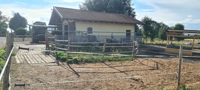 Offenstallplatz frei, Lara, Horse Stables, Schöngeising