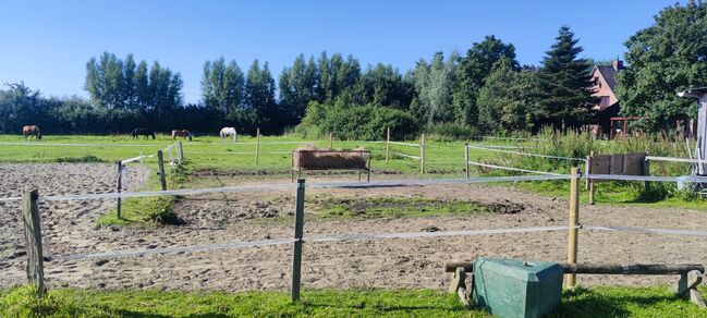 Offenstallplatz für Kur und Dauerplatz frei, Geraldine , Horse Stables, Tating , Image 9