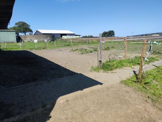 Offenstallplatz für Kur und Dauerplatz frei, Geraldine , Horse Stables, Tating , Image 5