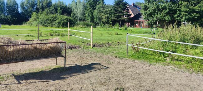 Offenstallplatz für Kur und Dauerplatz frei, Geraldine , Horse Stables, Tating , Image 7