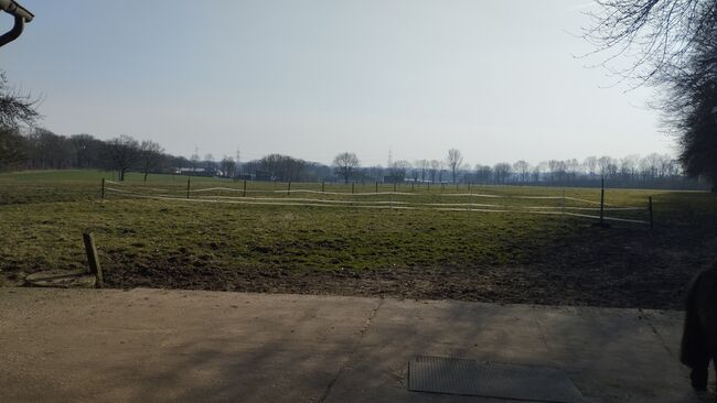 Offenstallplatz Rentnerplatz, Sarah , Horse Stables, Schermbeck , Image 10