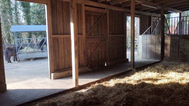 Offenstallplatz Rentnerplatz, Sarah , Horse Stables, Schermbeck , Image 2