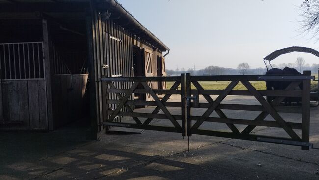 Offenstallplatz Rentnerplatz, Sarah , Horse Stables, Schermbeck , Image 4